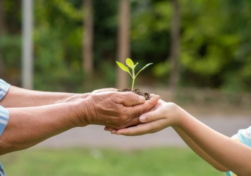 elderly-person-and-children-holding-plant